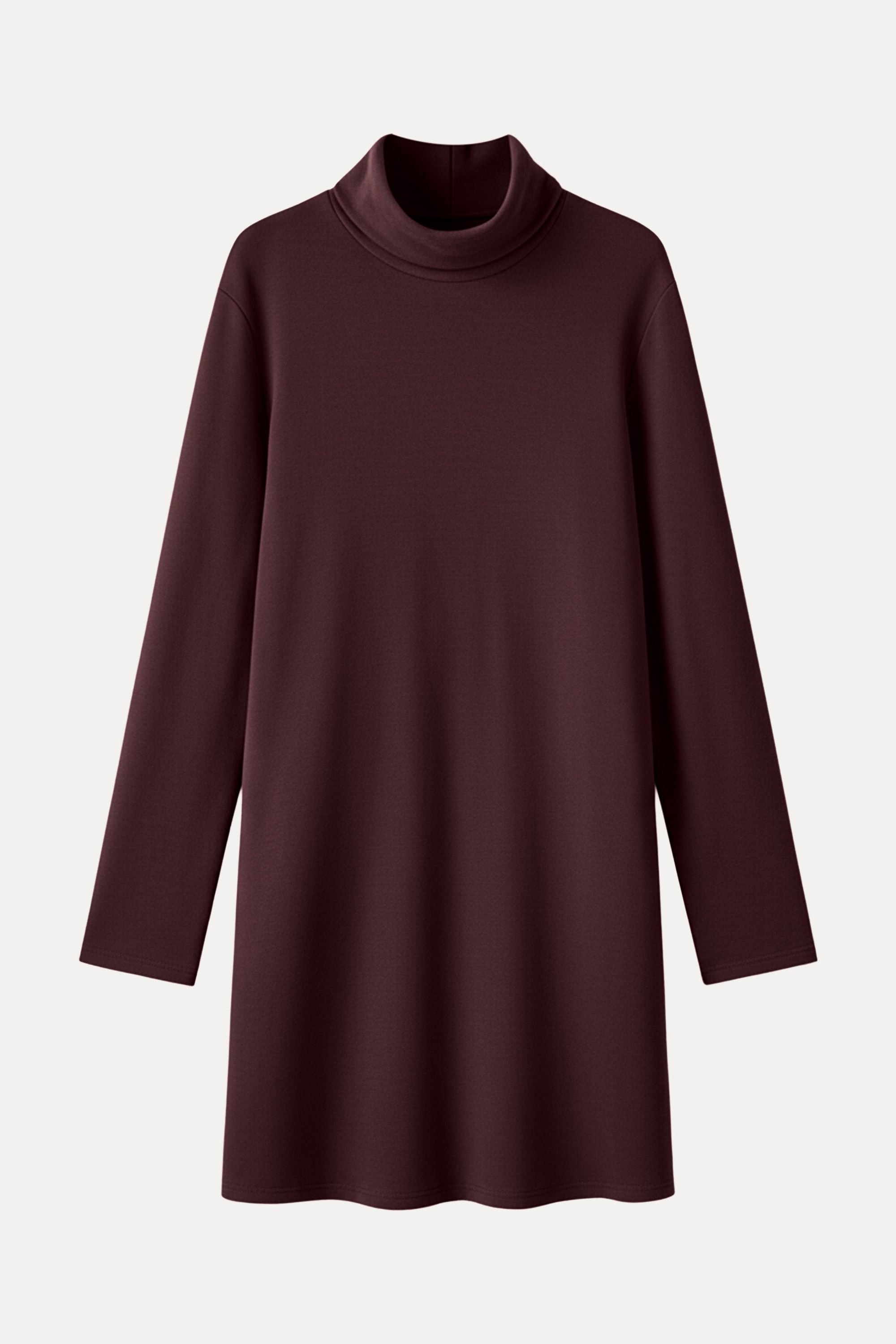 Cozy Warm Turtleneck Mini Dress