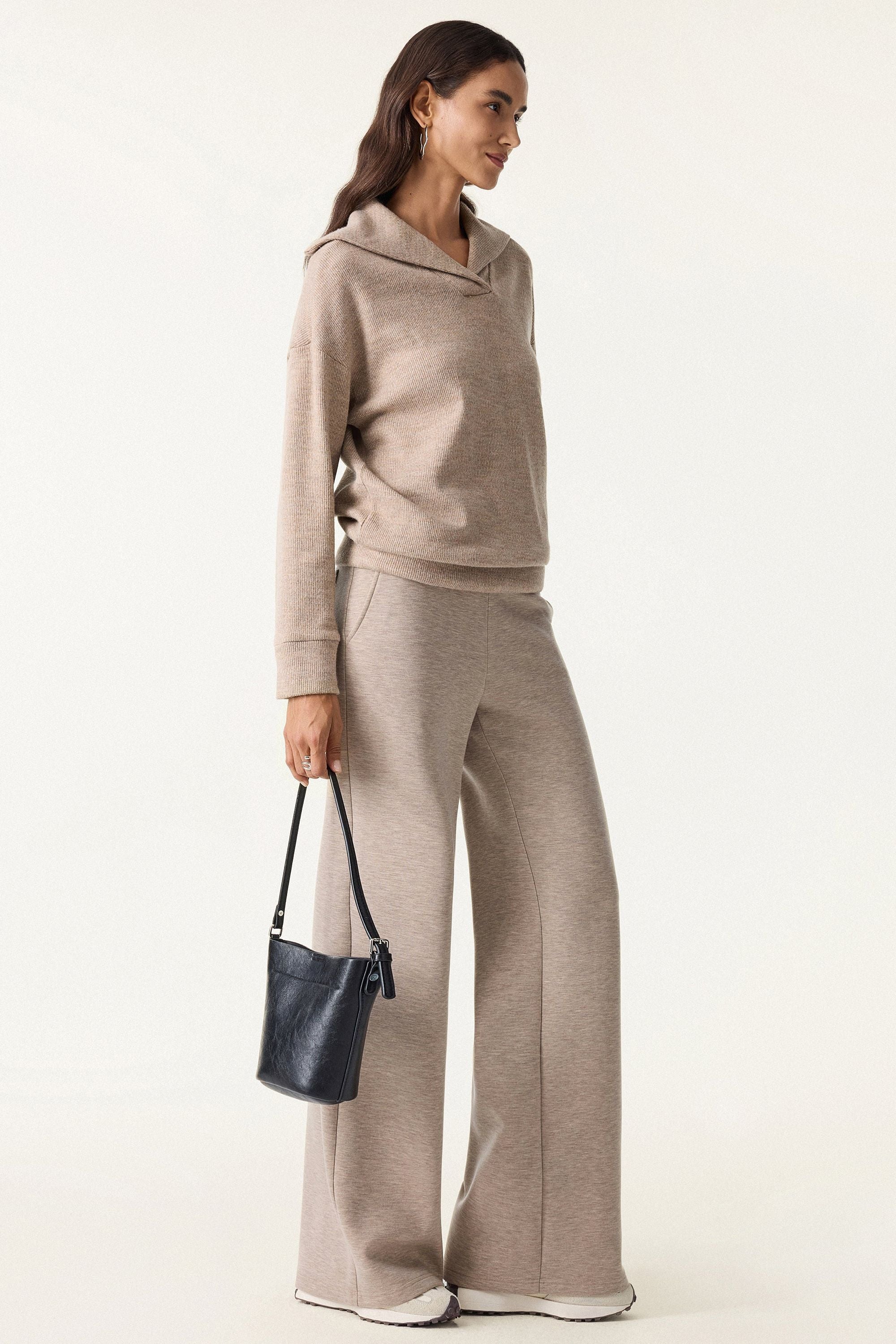 2Pcs Set Petite Double Waistband Straight Pants & V-Neck Batwing Sleeve Pullover