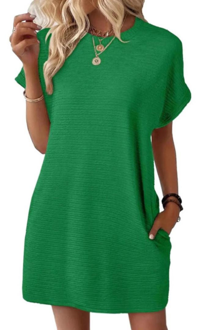 Casual Minimalist Round Neck Dress