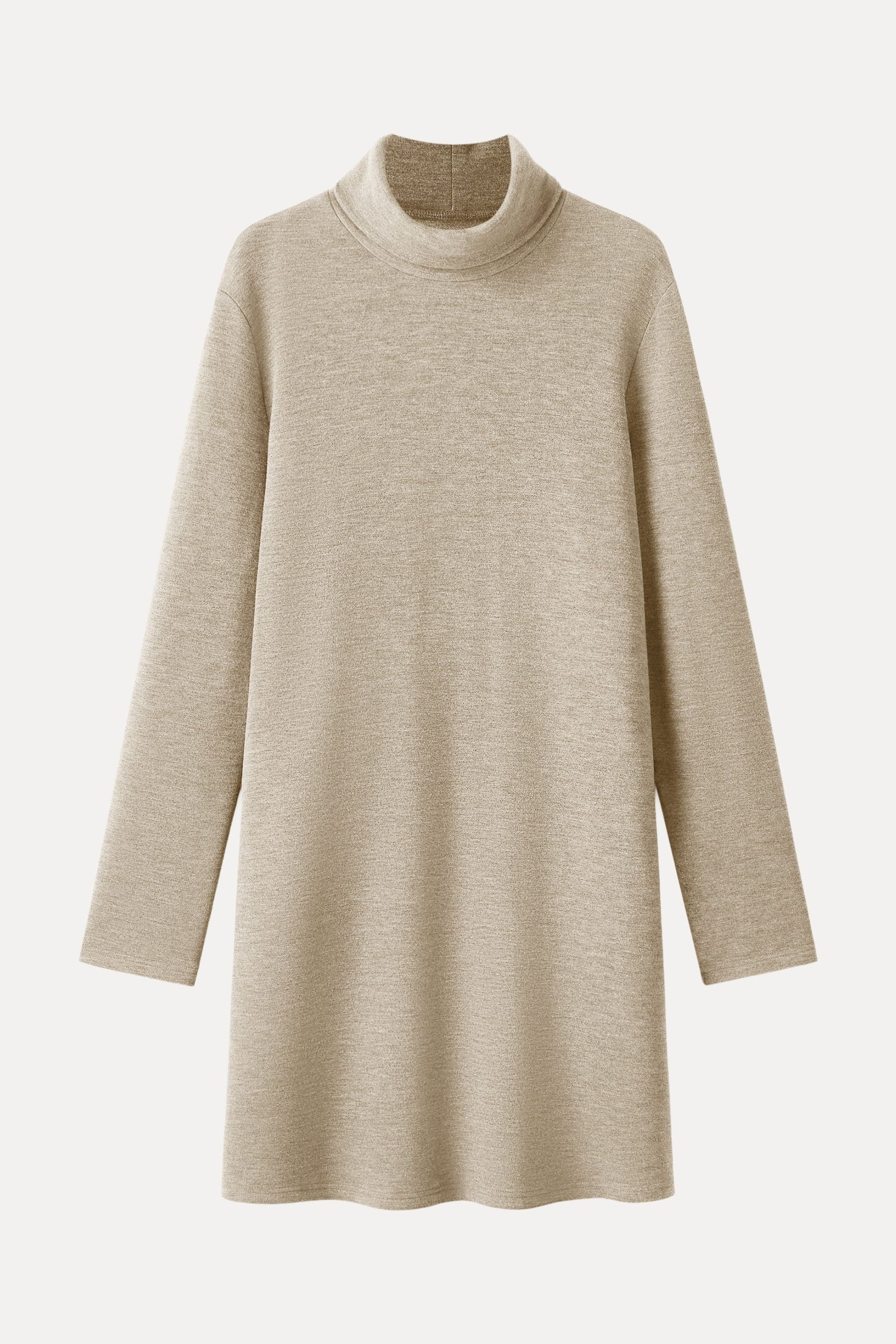 Cozy Warm Turtleneck Mini Dress